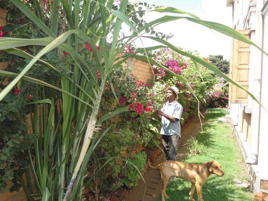 Meva Guesthouse Antananarywa Zewnętrze zdjęcie