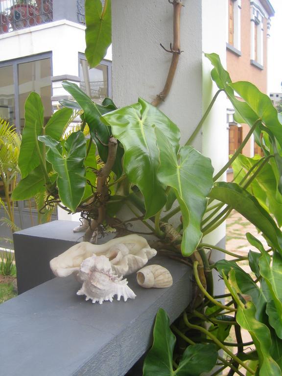 Meva Guesthouse Antananarywa Zewnętrze zdjęcie