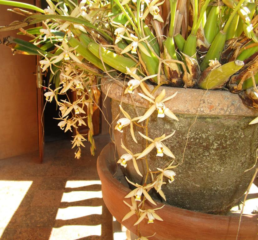 Meva Guesthouse Antananarywa Zewnętrze zdjęcie